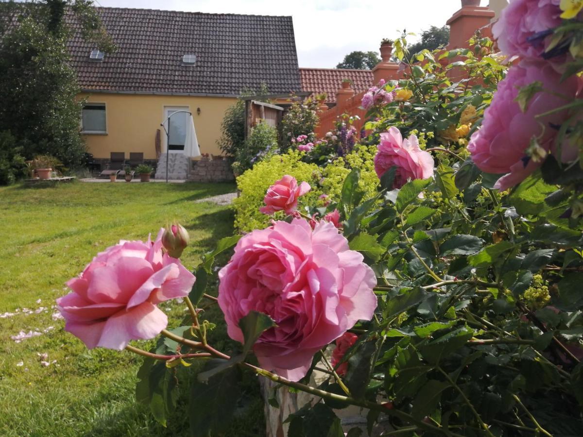 Strandhaus Mariflor Brook 외부 사진
